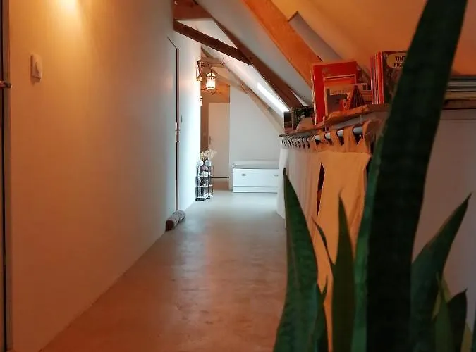 Les De Balade Au Jardin