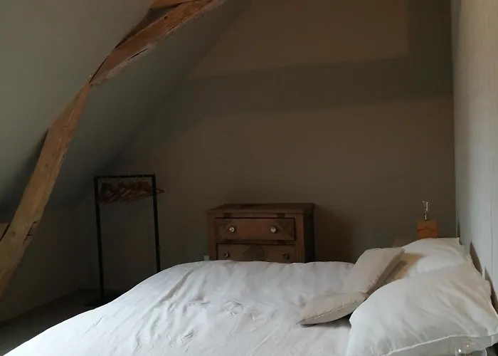 Les De Balade Au Jardin